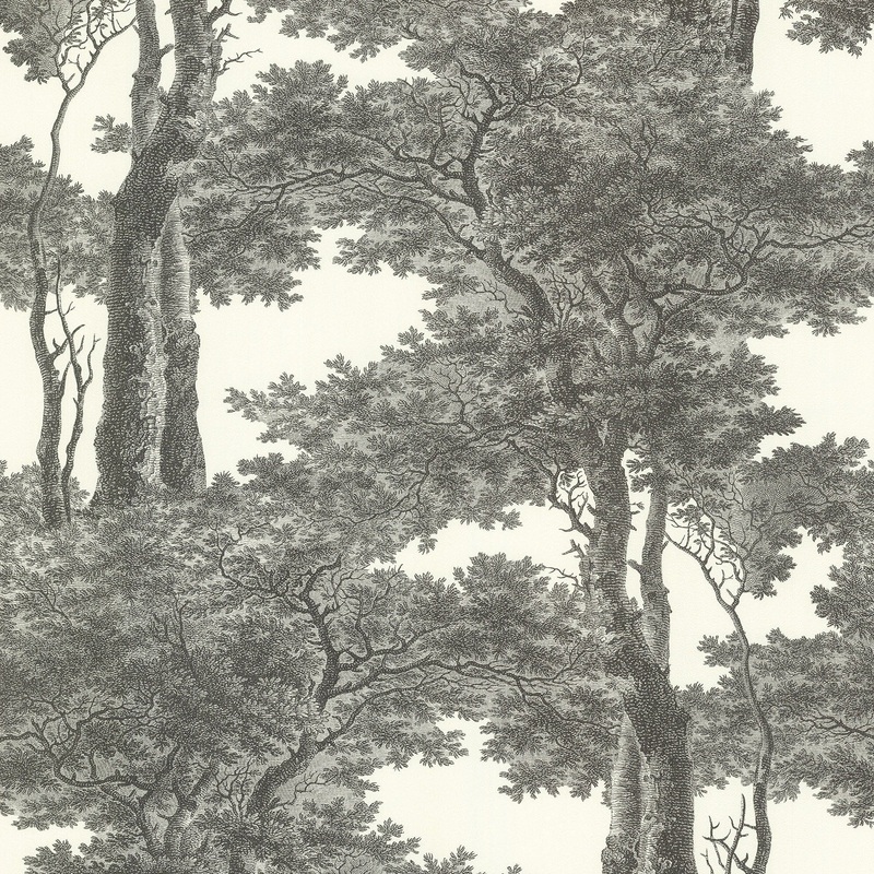 Vultaggio Forest Wallpaper 20.5 in x 33 ft = About 56.4 square feet