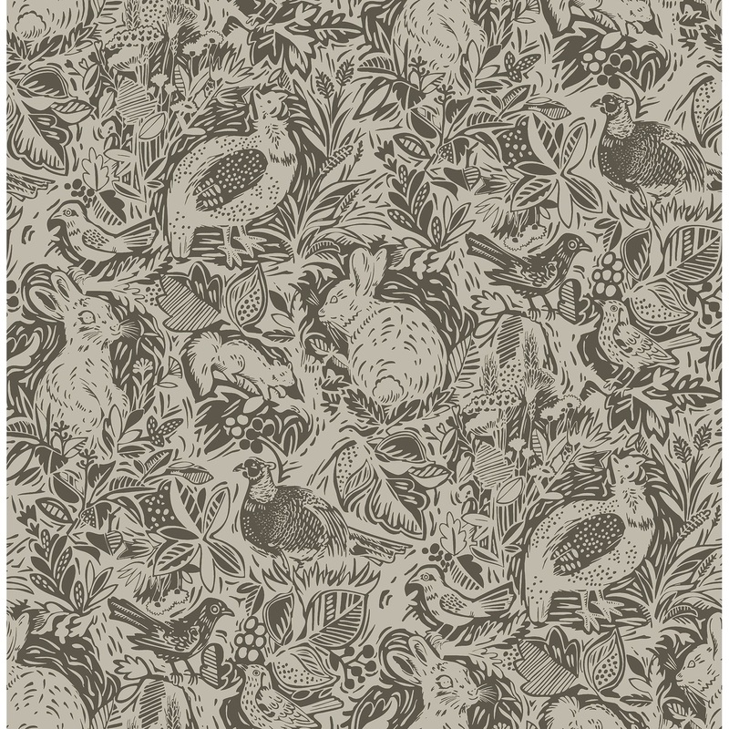 Animals Robin Revival Brown Fauna Wallpaper