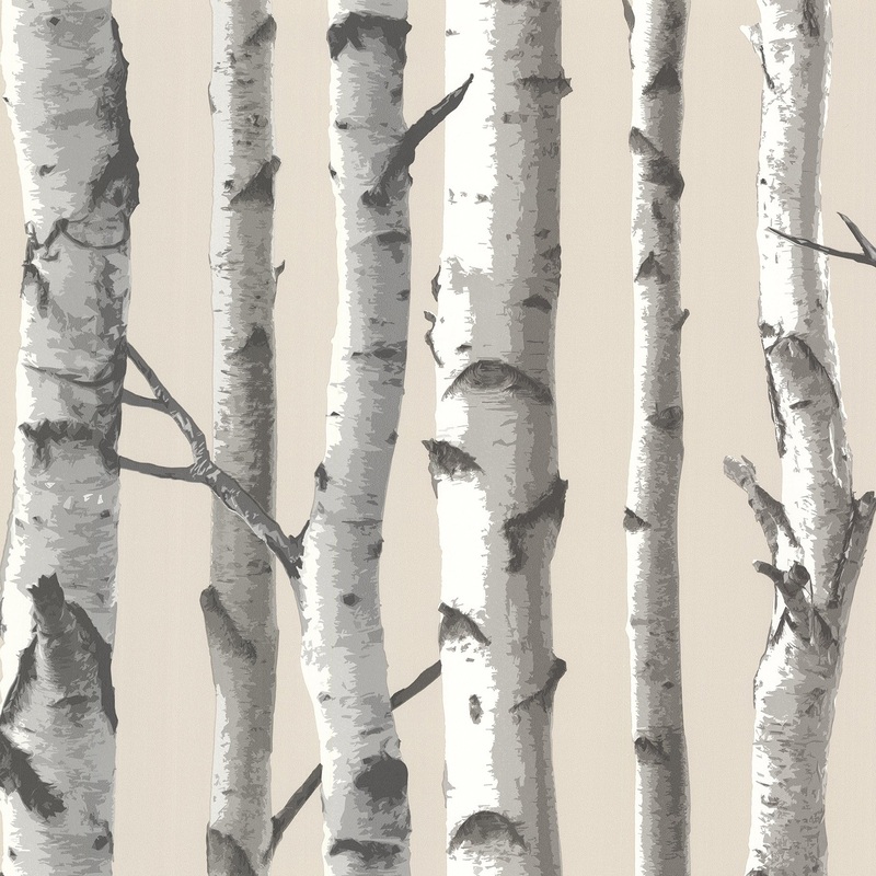 Botanical Ryan Tuxbury Beige Birch Tree 33' L X 20.5 W Wallpaper Roll