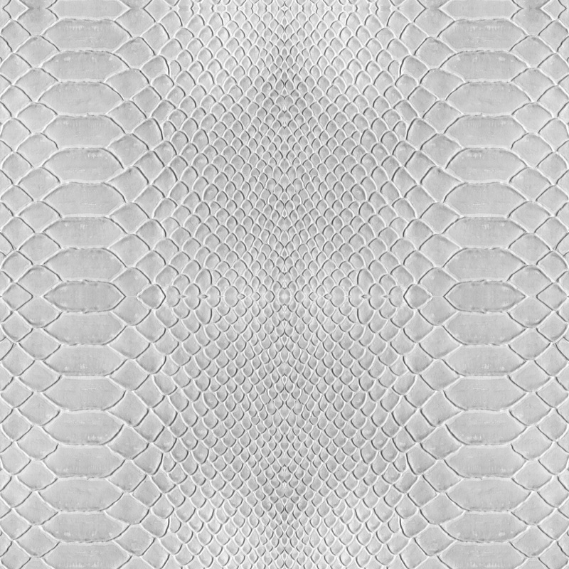 Simplify Python Adhesive Wallpaper in Grey - 197" x 21" x 0.1"