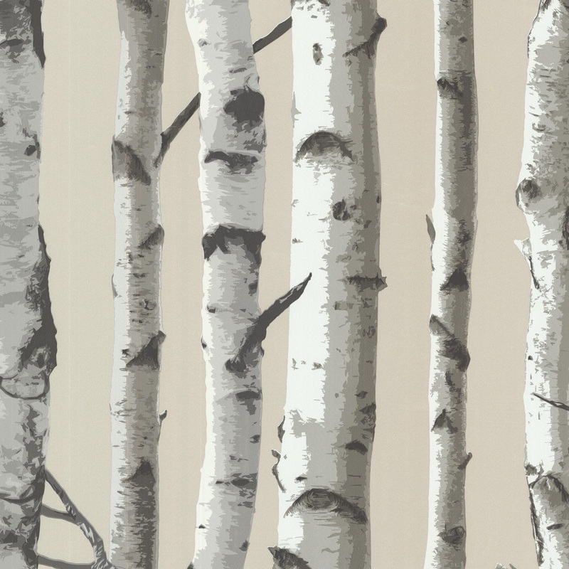 Botanical Dolan Irvin Grey Birch Tree 33' L X 20.5" W Wallpaper Roll