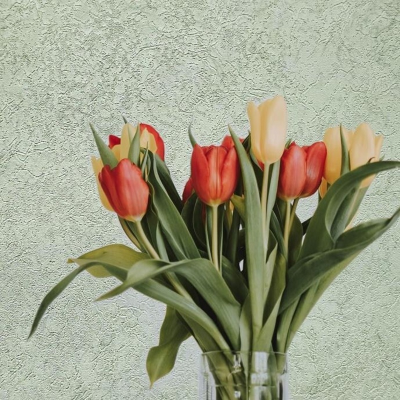 Wallpaper green plain textured faux plaster textures - 42 inc x 33 ft