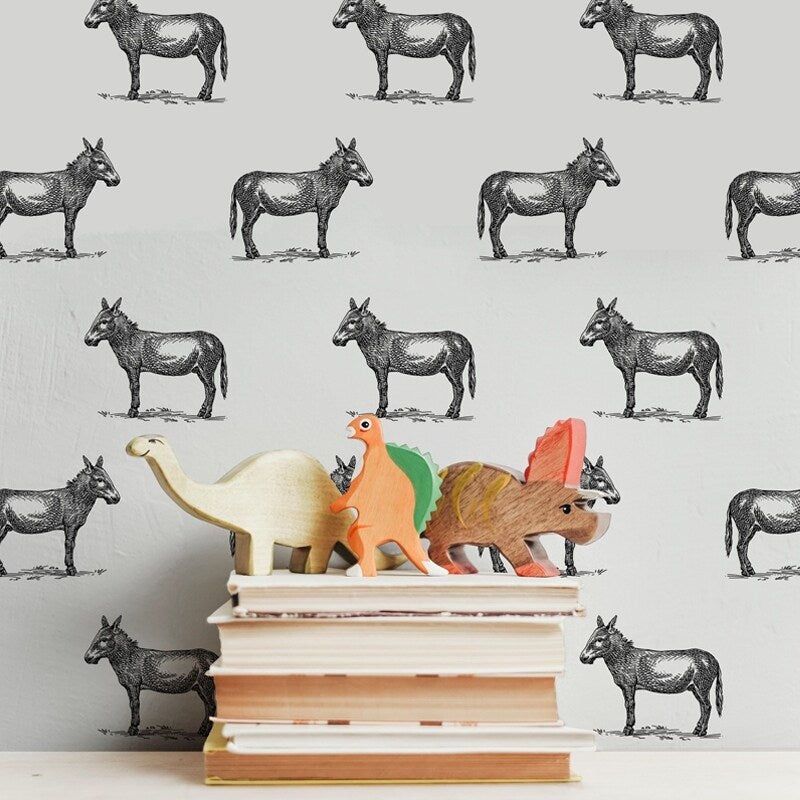 Charmer - Fun Donkey Removable Peel and Stick Canvas Texture Wallpaper