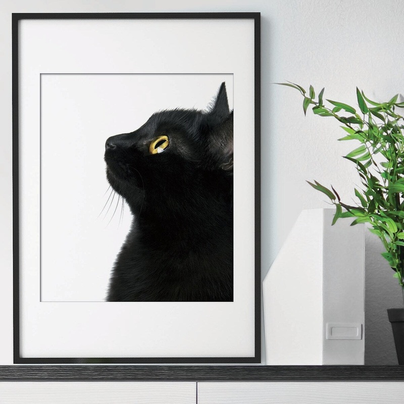 Walplus Wall Sticker Decal Wall Art Wall Decor Black Cat Poster Print