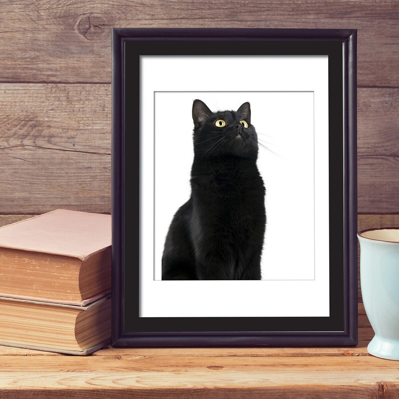 Walplus Wall Sticker Decal Wall Decor Wall Art Black Cat Poster Print