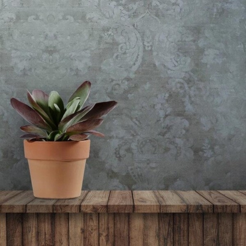 Wallpaper taupe metallic Grey rustic vintage damask Textured