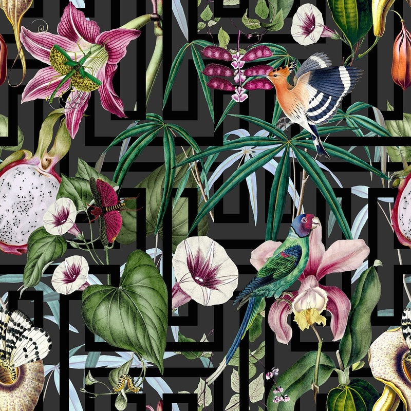 Tropical Infinity Multi Non-Woven Wallpaper